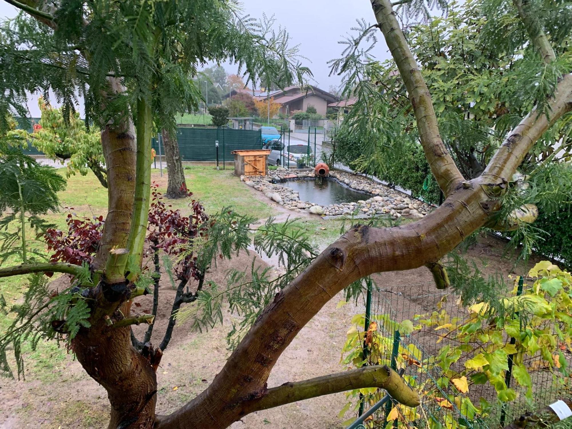 Bed & Breakfast Indi Thelar Villa Guardia Exterior foto
